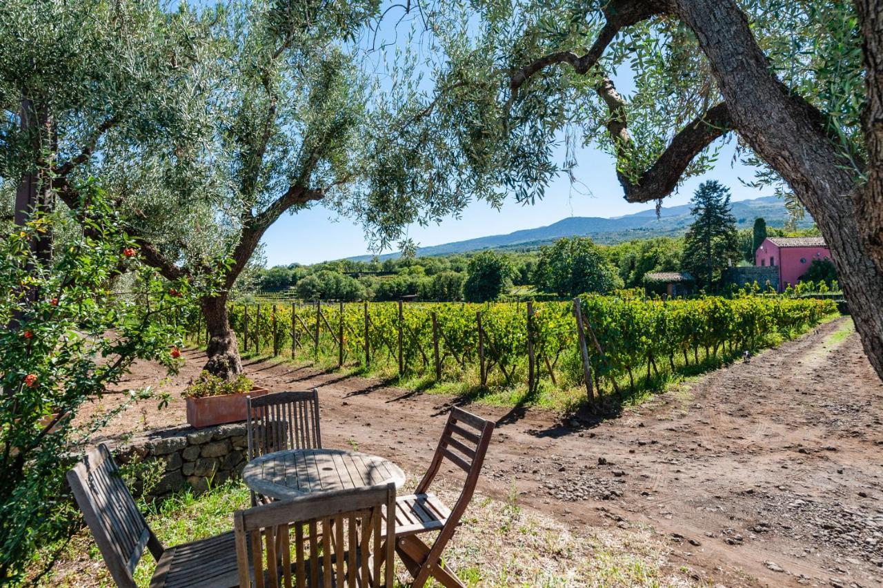 Terrazze Dell'Etna - Country Rooms And Apartments Randazzo Exterior photo