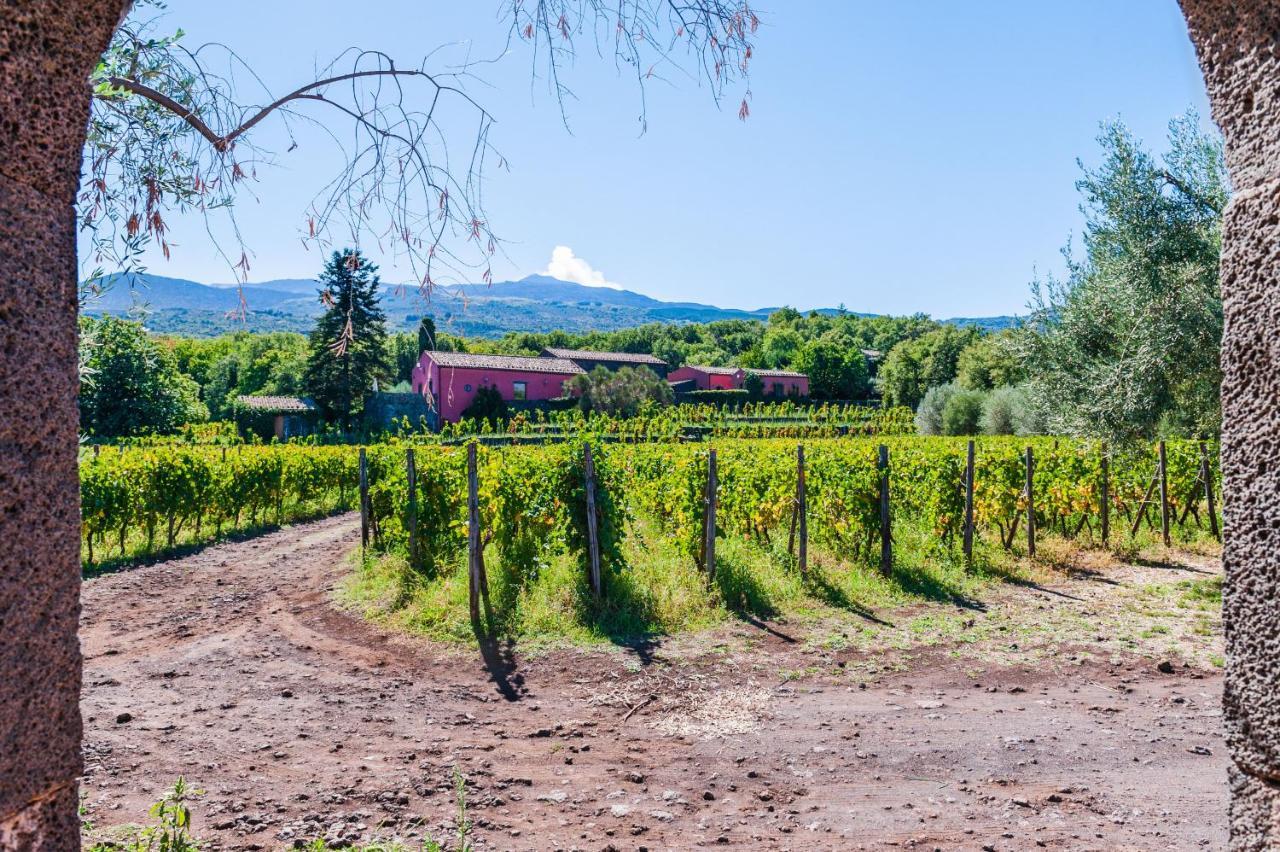 Terrazze Dell'Etna - Country Rooms And Apartments Randazzo Exterior photo