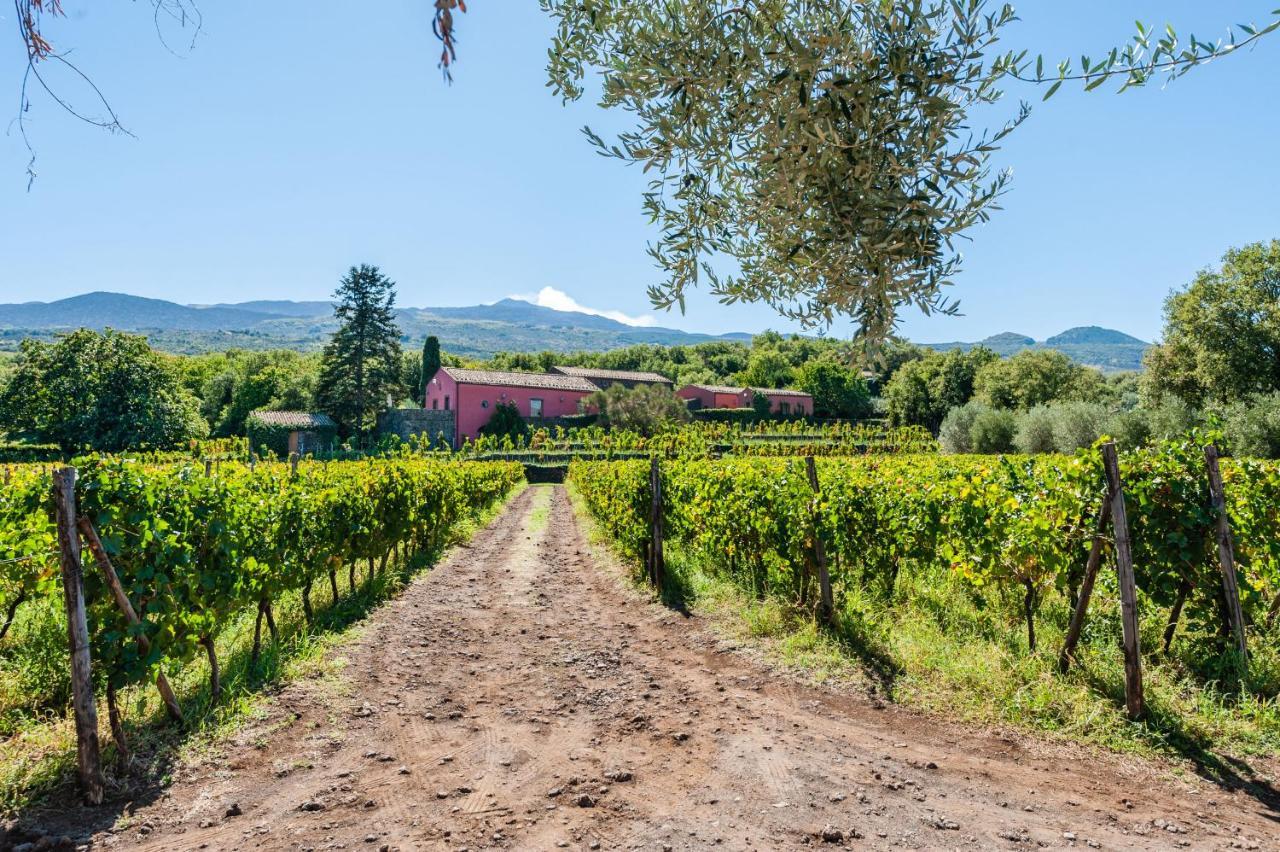 Terrazze Dell'Etna - Country Rooms And Apartments Randazzo Exterior photo